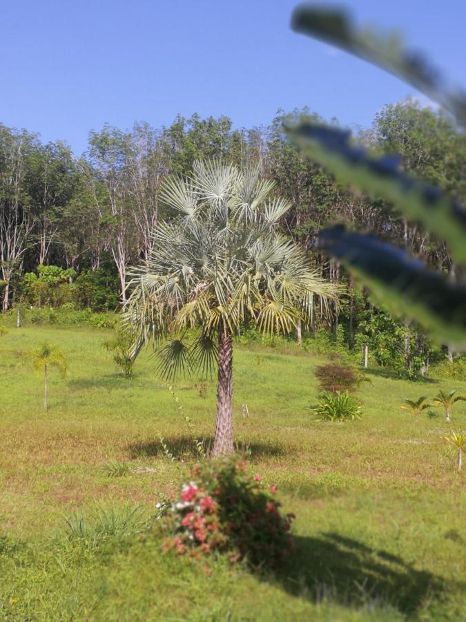 شقة Palm Garden House Ko Lanta المظهر الخارجي الصورة