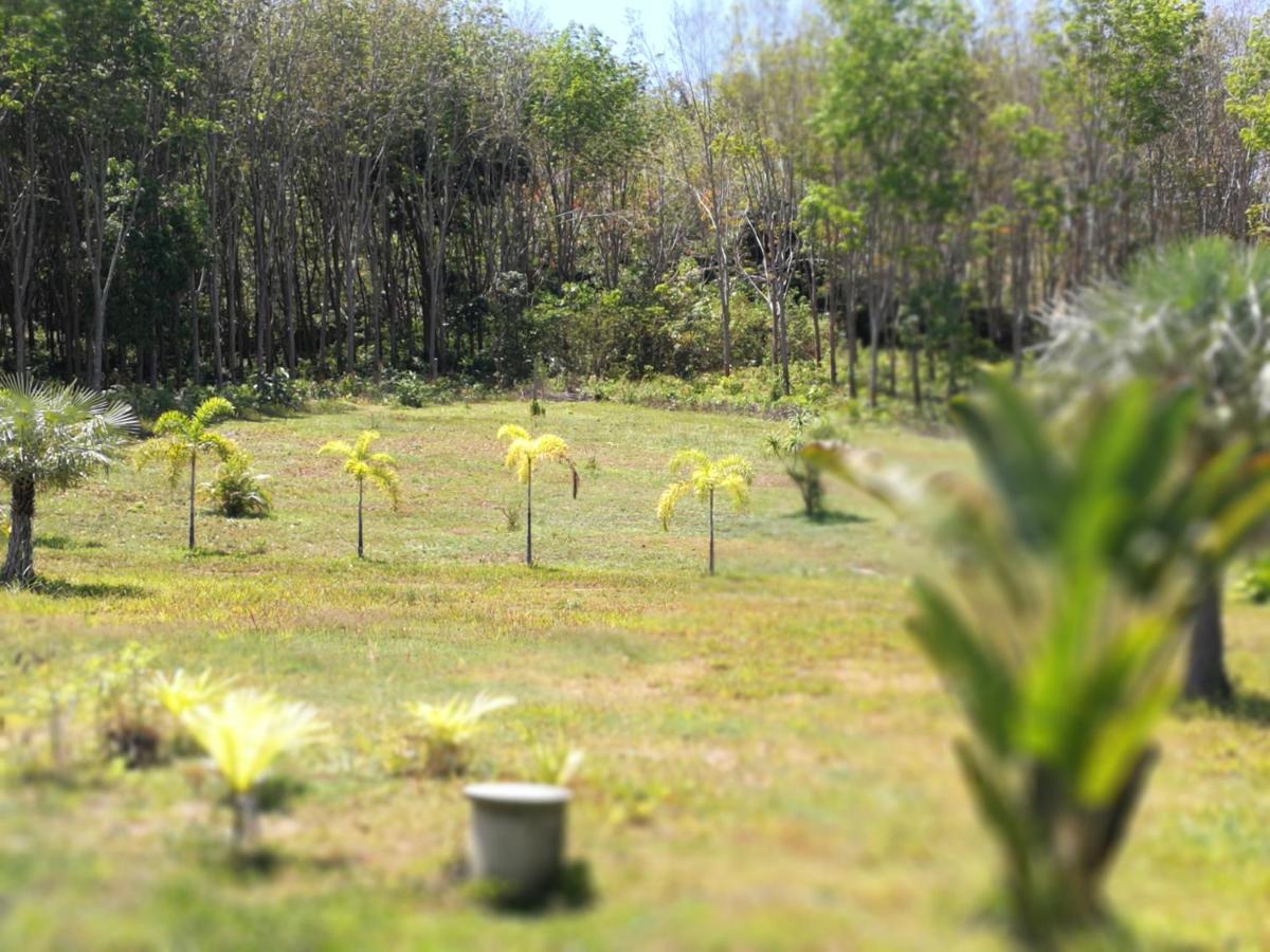 شقة Palm Garden House Ko Lanta المظهر الخارجي الصورة