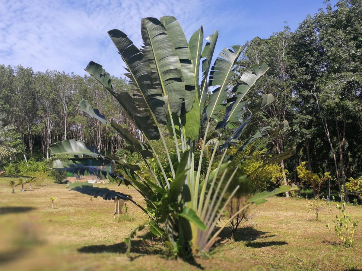 شقة Palm Garden House Ko Lanta المظهر الخارجي الصورة